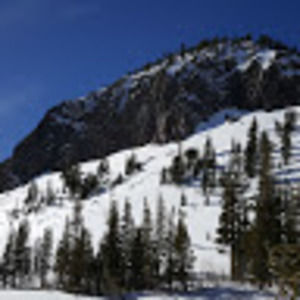 Meet your Posher, Riley